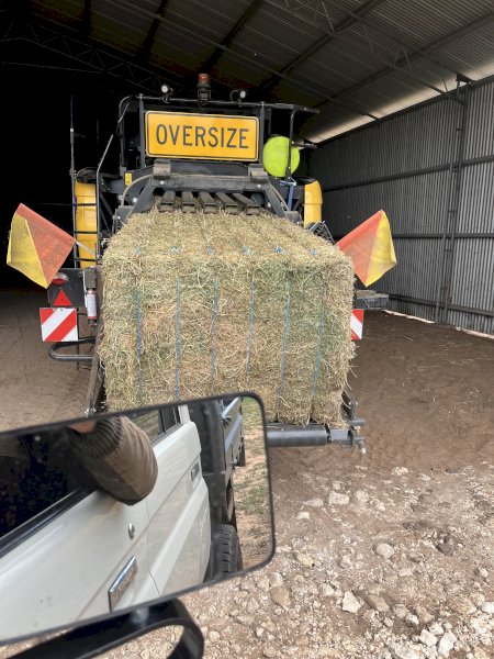 400m/t Vetch Hay 600kg 8x4x3 Bales