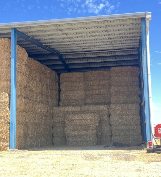 190mt Vetch Hay 630kg 8x4x3 Bales
