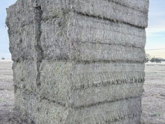190mt Vetch Hay 630kg 8x4x3 Bales