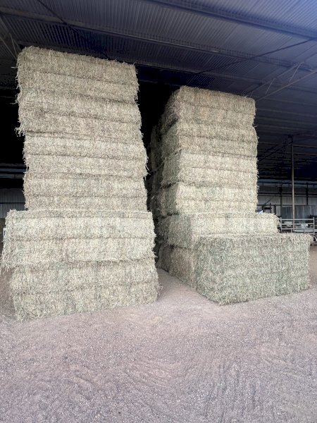 44 x Lucerne Hay 580kg 8x4x3 Bales