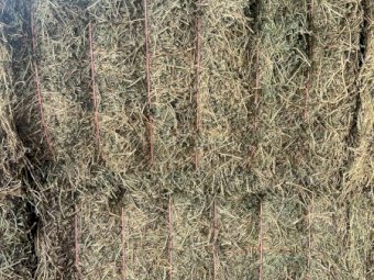44 x Lucerne Hay 580kg 8x4x3 Bales