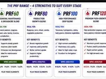Purple Rain Liquid Fertilizer