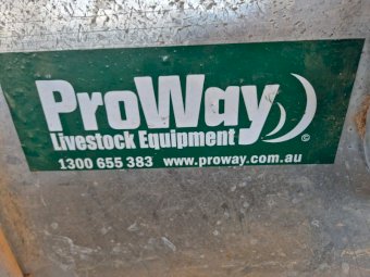 Proway Double Lead up Race
