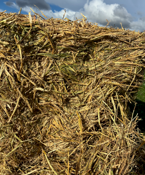 500mt Wheaten Hay 8x4x3 Bales