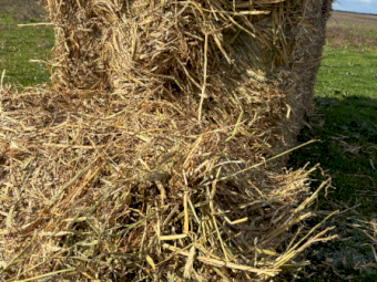 500mt Wheaten Hay 8x4x3 Bales