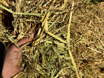 500mt Wheaten Hay 8x4x3 Bales