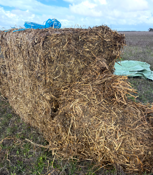 500mt Oat/Clover Silage 6x4x3 Bales