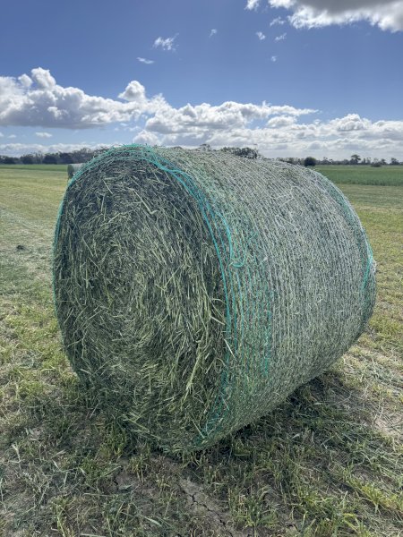 24mt Vetch Hay 470kg 5x4 Round Bales
