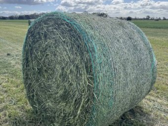 24mt Vetch Hay 470kg 5x4 Round Bales