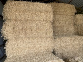 150 m/t 25' Season Wheaten Hay