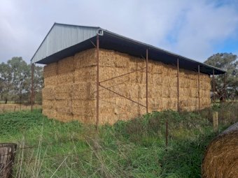 95MT Oaten Lucerne Hay 8X4X3 Large Square Bales