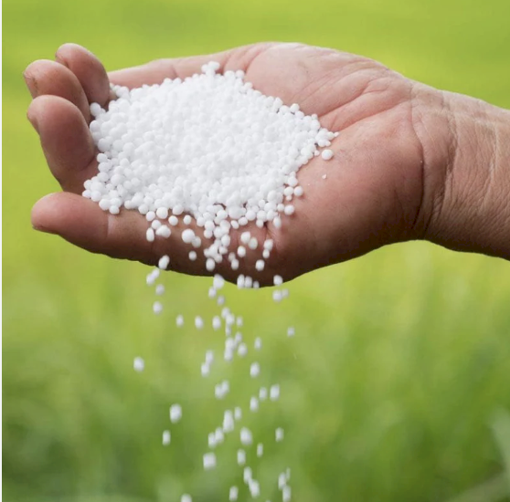Urea ex Adelaide - June Collection