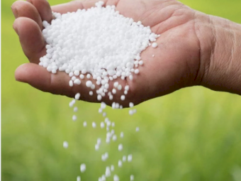 Urea ex Adelaide - June Collection