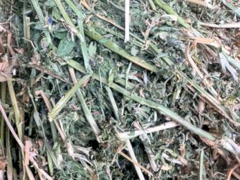 160mt Lucerne Hay 580kg 8x4x3 Bales