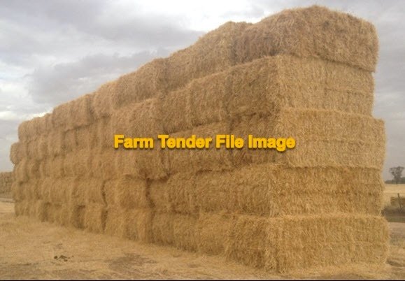 100 mt Barley Straw 450kg 8x4x3 Large Square Bales