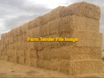 100 mt Barley Straw 450kg 8x4x3 Large Square Bales