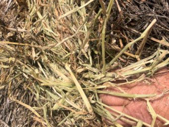 400mt Barley Hay 600kg 8x4x3 Bales
