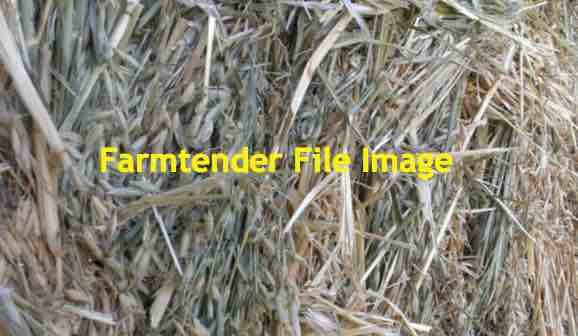 Oaten Hay 680kg 8x4x3 Bales