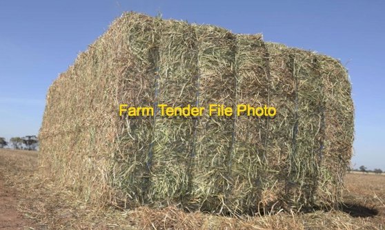 Wheaten Hay 8x4x3 Bales