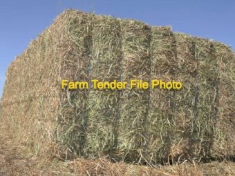 Wheaten Hay 8x4x3 Bales