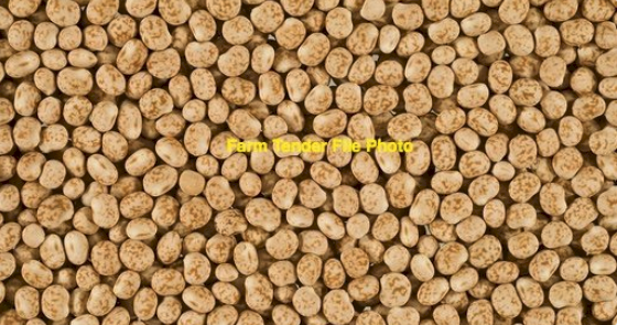 40MT Bateman Lupins