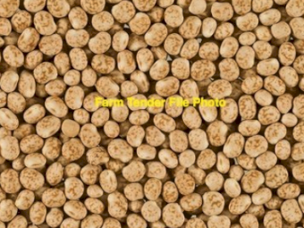 40MT Bateman Lupins