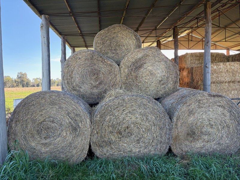 50 X Oaten Straw 5X4 Round Bales