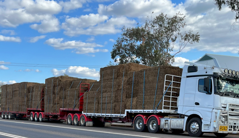 Hay Transport
