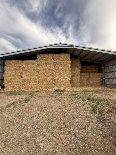 100mt Oaten Hay 500kg 8x4x3 Bales