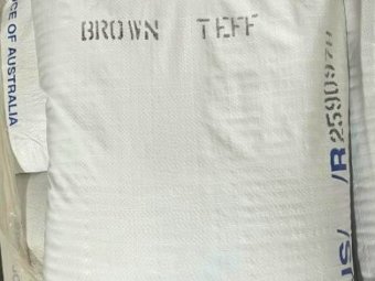 25MT Brown Teff Seed