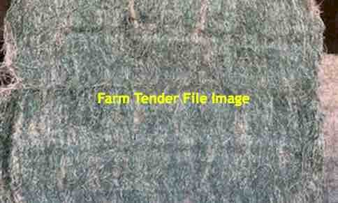 8x3x3 WANTED Hay bales