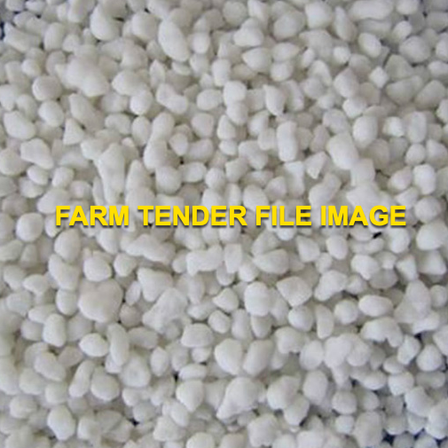 SOA Bulk Ex Geelong