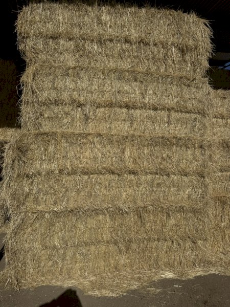 65m/t Clover & Rye Hay 8x4x3 Bales