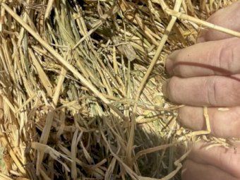 65m/t Clover & Rye Hay 8x4x3 Bales