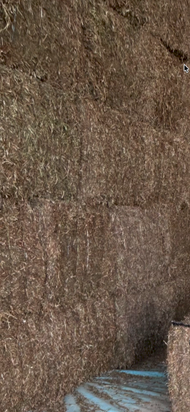 75mt Vetch Hay 8x4x3 Bales