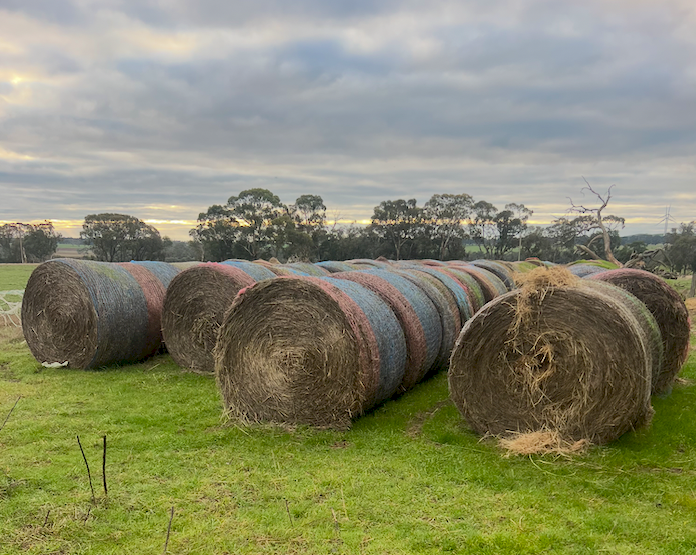 400 x Clover and Rye Round Bales