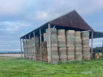 600 x Clover and Rye Hay Round Bales