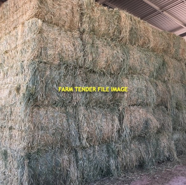 75mt Oaten Rye Hay 8x4x3 Bales