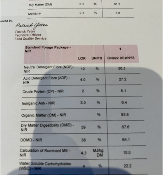 500 mt Oaten Hay
