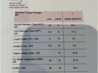 500 mt Oaten Hay