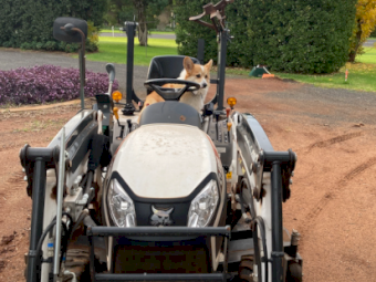 2024 Bobcat CT1025 Tractor with FEL and Implements