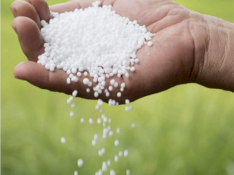 Urea ex Brisbane - July and August Collection