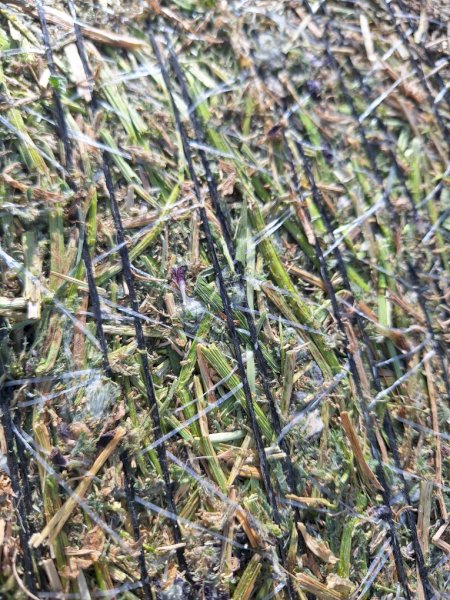 100mt Vetch Silage Round Bales