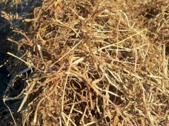 100mt Vetch Silage Round Bales