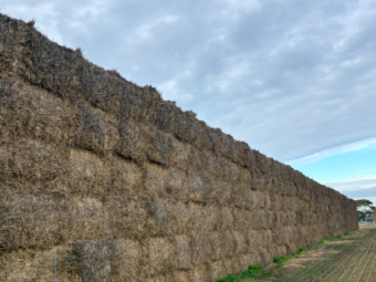 500mt Wheaten Hay 500-650kg 8x4x3 Bales