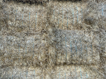 500mt Wheaten Hay 500-650kg 8x4x3 Bales