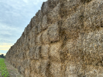 500mt Wheaten Hay 500-650kg 8x4x3 Bales