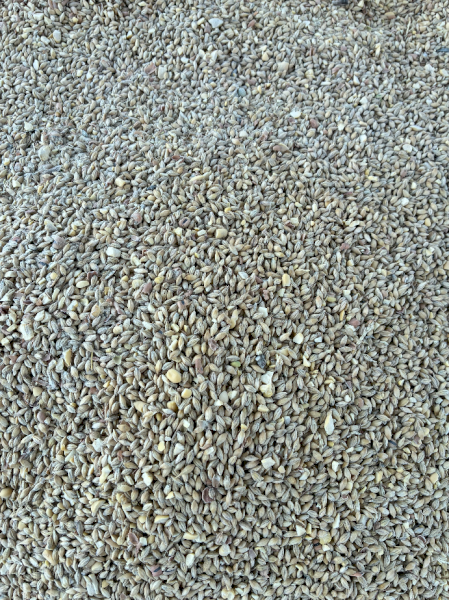 Lamb Feedlot Mix