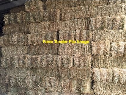 Vetch, Oaten Hay and Straw in Small Square Bale Baron Packs
