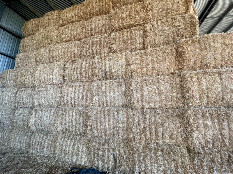 70mt Barley Straw 550kg 8x4x3 Bales